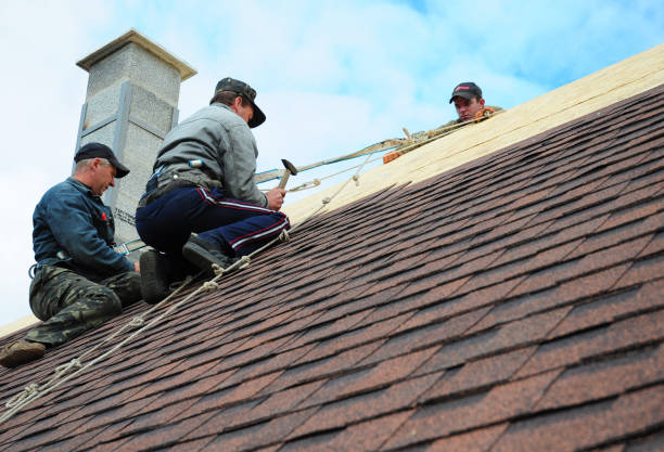 Best Gutter Installation and Roofing  in Edburgh, IN